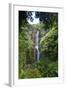 Waterfall along the Hana Highway-Terry Eggers-Framed Photographic Print