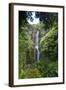 Waterfall along the Hana Highway-Terry Eggers-Framed Photographic Print