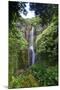 Waterfall along the Hana Highway-Terry Eggers-Mounted Photographic Print