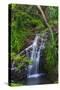 Waterfall Along the Trail to Queens Bath, Lihue, Kauai, Hawaii, USA-Richard Duval-Stretched Canvas