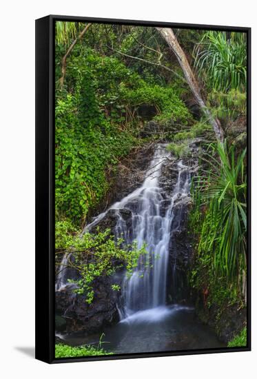 Waterfall Along the Trail to Queens Bath, Lihue, Kauai, Hawaii, USA-Richard Duval-Framed Stretched Canvas