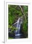 Waterfall Along the Trail to Queens Bath, Lihue, Kauai, Hawaii, USA-Richard Duval-Framed Premium Photographic Print