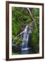 Waterfall Along the Trail to Queens Bath, Lihue, Kauai, Hawaii, USA-Richard Duval-Framed Premium Photographic Print