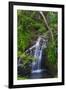 Waterfall Along the Trail to Queens Bath, Lihue, Kauai, Hawaii, USA-Richard Duval-Framed Premium Photographic Print