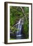 Waterfall Along the Trail to Queens Bath, Lihue, Kauai, Hawaii, USA-Richard Duval-Framed Photographic Print