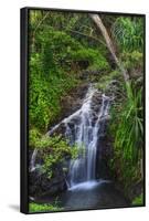 Waterfall Along the Trail to Queens Bath, Lihue, Kauai, Hawaii, USA-Richard Duval-Framed Photographic Print