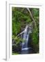 Waterfall Along the Trail to Queens Bath, Lihue, Kauai, Hawaii, USA-Richard Duval-Framed Photographic Print