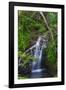 Waterfall Along the Trail to Queens Bath, Lihue, Kauai, Hawaii, USA-Richard Duval-Framed Photographic Print