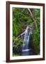 Waterfall Along the Trail to Queens Bath, Lihue, Kauai, Hawaii, USA-Richard Duval-Framed Photographic Print