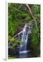 Waterfall Along the Trail to Queens Bath, Lihue, Kauai, Hawaii, USA-Richard Duval-Framed Photographic Print