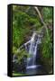 Waterfall Along the Trail to Queens Bath, Lihue, Kauai, Hawaii, USA-Richard Duval-Framed Stretched Canvas