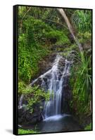 Waterfall Along the Trail to Queens Bath, Lihue, Kauai, Hawaii, USA-Richard Duval-Framed Stretched Canvas