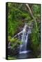 Waterfall Along the Trail to Queens Bath, Lihue, Kauai, Hawaii, USA-Richard Duval-Framed Stretched Canvas