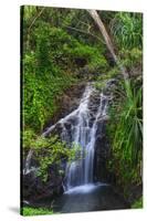 Waterfall Along the Trail to Queens Bath, Lihue, Kauai, Hawaii, USA-Richard Duval-Stretched Canvas