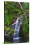 Waterfall Along the Trail to Queens Bath, Lihue, Kauai, Hawaii, USA-Richard Duval-Stretched Canvas