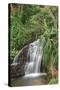 Waterfall Along the Trail to Queens Bath, Lihue, Kauai, Hawaii, USA-Richard Duval-Stretched Canvas