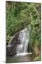 Waterfall Along the Trail to Queens Bath, Lihue, Kauai, Hawaii, USA-Richard Duval-Mounted Photographic Print