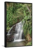 Waterfall Along the Trail to Queens Bath, Lihue, Kauai, Hawaii, USA-Richard Duval-Framed Photographic Print