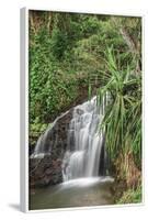 Waterfall Along the Trail to Queens Bath, Lihue, Kauai, Hawaii, USA-Richard Duval-Framed Photographic Print