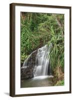 Waterfall Along the Trail to Queens Bath, Lihue, Kauai, Hawaii, USA-Richard Duval-Framed Photographic Print