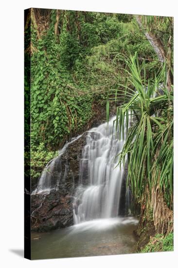 Waterfall Along the Trail to Queens Bath, Lihue, Kauai, Hawaii, USA-Richard Duval-Stretched Canvas