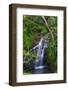 Waterfall Along the Trail to Queens Bath, Lihue, Kauai, Hawaii, USA-Richard Duval-Framed Photographic Print