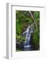 Waterfall Along the Trail to Queens Bath, Lihue, Kauai, Hawaii, USA-Richard Duval-Framed Photographic Print