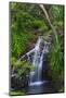 Waterfall Along the Trail to Queens Bath, Lihue, Kauai, Hawaii, USA-Richard Duval-Mounted Photographic Print