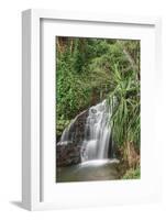 Waterfall Along the Trail to Queens Bath, Lihue, Kauai, Hawaii, USA-Richard Duval-Framed Photographic Print