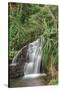 Waterfall Along the Trail to Queens Bath, Lihue, Kauai, Hawaii, USA-Richard Duval-Stretched Canvas