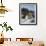 Waterfall and Beach at Julia Pfeiffer Burns State Park, Near Big Sur, California-Donald Nausbaum-Framed Photographic Print displayed on a wall