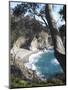 Waterfall and Beach at Julia Pfeiffer Burns State Park, Near Big Sur, California-Donald Nausbaum-Mounted Photographic Print