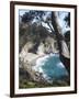 Waterfall and Beach at Julia Pfeiffer Burns State Park, Near Big Sur, California-Donald Nausbaum-Framed Photographic Print