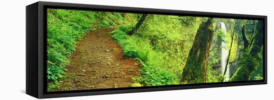 Waterfall and Hiking Trail, Latourell Falls, Columbia River Gorge, Oregon, USA-null-Framed Stretched Canvas