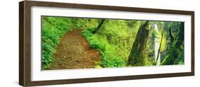 Waterfall and Hiking Trail, Latourell Falls, Columbia River Gorge, Oregon, USA-null-Framed Photographic Print