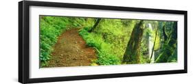 Waterfall and Hiking Trail, Latourell Falls, Columbia River Gorge, Oregon, USA-null-Framed Photographic Print