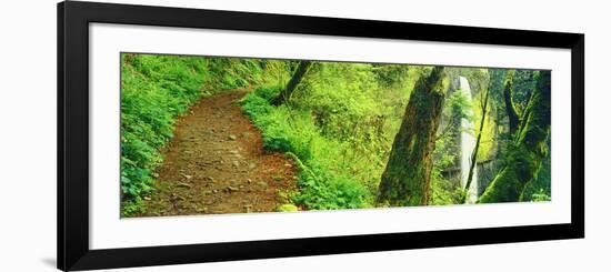 Waterfall and Hiking Trail, Latourell Falls, Columbia River Gorge, Oregon, USA-null-Framed Photographic Print