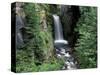 Waterfall and Lush Foliage, Mt. Rainier National Park, Washington, USA-Gavriel Jecan-Stretched Canvas