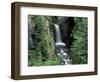 Waterfall and Lush Foliage, Mt. Rainier National Park, Washington, USA-Gavriel Jecan-Framed Photographic Print