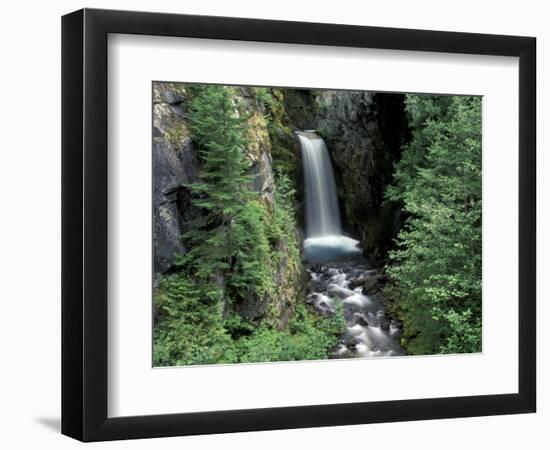 Waterfall and Lush Foliage, Mt. Rainier National Park, Washington, USA-Gavriel Jecan-Framed Photographic Print