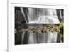Waterfall and reflection, Oregon-Adam Jones-Framed Photographic Print