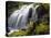 Waterfall and wild rhododendrons, Oregon.-Stuart Westmorland-Stretched Canvas