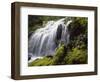 Waterfall and wild rhododendrons, Oregon.-Stuart Westmorland-Framed Photographic Print