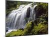 Waterfall and wild rhododendrons, Oregon.-Stuart Westmorland-Mounted Photographic Print