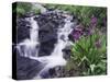 Waterfall and Wildflowers, Ouray, San Juan Mountains, Rocky Mountains, Colorado, USA-Rolf Nussbaumer-Stretched Canvas