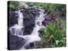 Waterfall and Wildflowers, Ouray, San Juan Mountains, Rocky Mountains, Colorado, USA-Rolf Nussbaumer-Stretched Canvas