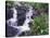 Waterfall and Wildflowers, Ouray, San Juan Mountains, Rocky Mountains, Colorado, USA-Rolf Nussbaumer-Stretched Canvas