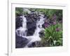 Waterfall and Wildflowers, Ouray, San Juan Mountains, Rocky Mountains, Colorado, USA-Rolf Nussbaumer-Framed Premium Photographic Print