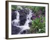 Waterfall and Wildflowers, Ouray, San Juan Mountains, Rocky Mountains, Colorado, USA-Rolf Nussbaumer-Framed Photographic Print