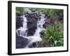 Waterfall and Wildflowers, Ouray, San Juan Mountains, Rocky Mountains, Colorado, USA-Rolf Nussbaumer-Framed Photographic Print